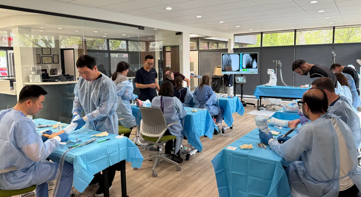 Small-group cadaver lab, every hand guided